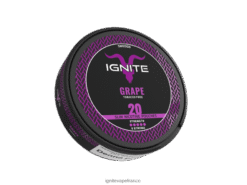 Ignite Flavors - IGNITE sachets de nicotine raisin VVFB02174