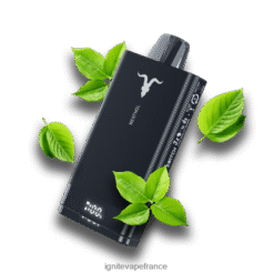 Ignite Vape Online - IGNITE V150 stylo vape menthol VVFB0272