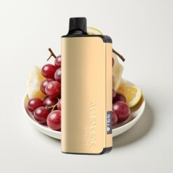 Alibarbar Ingot 9000 Puffs Glace Raisin - 22ml, 2350mAh, 1.2 Ohm