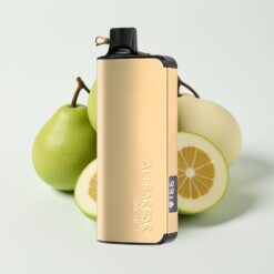 Alibarbar Ingot 9000 Puffs Menthe Fraîche - 22ml, 2350mAh, 9000 Puffs