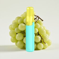 Snowplus Dash 4000 Puffs Disposable Device Raisin Vert - 7,5 ml, 530 mAh, 4000 Puffs
