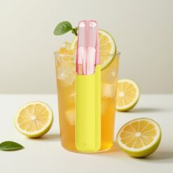 Snowplus Dash 4000 Puffs Disposable Device Thé Glacé Citron - 7.5 ml, 530 mAh