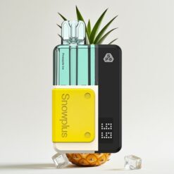 Snowplus Swift 5000 Puffs Kit Prérempli Ananas Glace – 1000 mAh, 2+10 ml, 2%