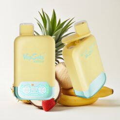 Vapsolo Twins 20000 Puffs Ananas Noix de Coco & Fraise Banane - 40ml, Type-C