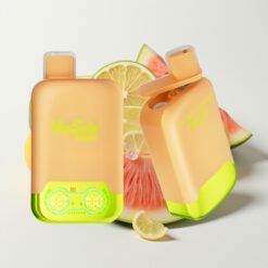 Vapsolo Twins 20000 Puffs Citron Vert & Pastèque Glacée - 40ml, 20/50mg, Type-C