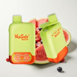 Vapsolo Twins 20000 Puffs Glace Pastèque & Baies Mixtes - 40ml, 20mg/ml/50mg/ml, Type-C